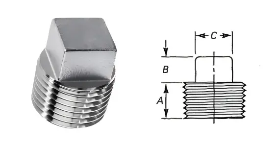ASME B16.11 Square Head Plug