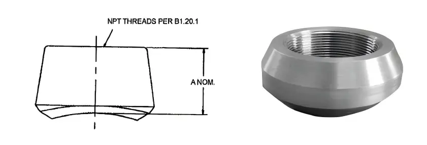 Forged Steel Threadolet