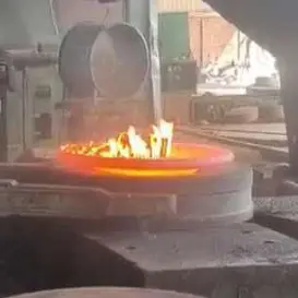 Hot Forged Flange